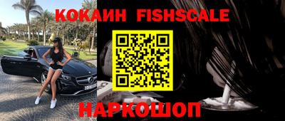 шишки Новодвинск