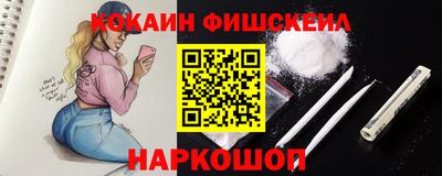 шишки Новодвинск