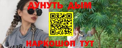 шишки Новодвинск