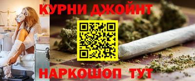 шишки Новодвинск
