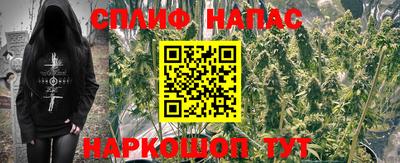 apvp Новозыбков
