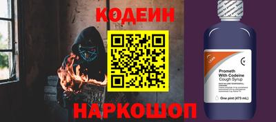 шишки Новодвинск