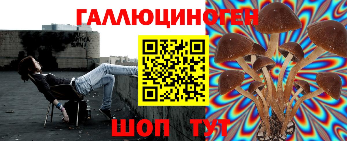 ГАШ  A-PVP СК кристаллы  МЕФ кристаллы  Вход с VPN  Бошки Шишки  Тавда  Cocaine 