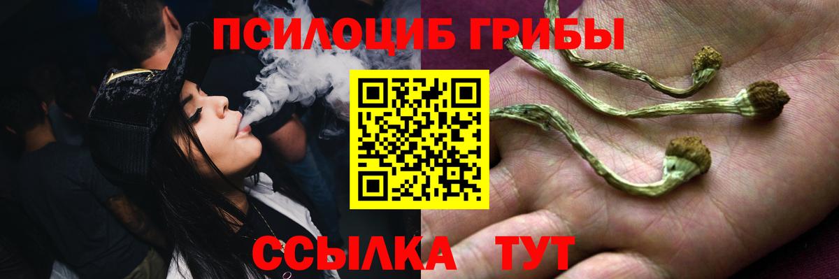 Псилоцибиновые грибы GOLDEN TEACHER Тавда